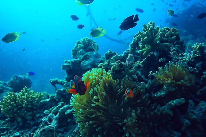 underwater view of a swimming pool