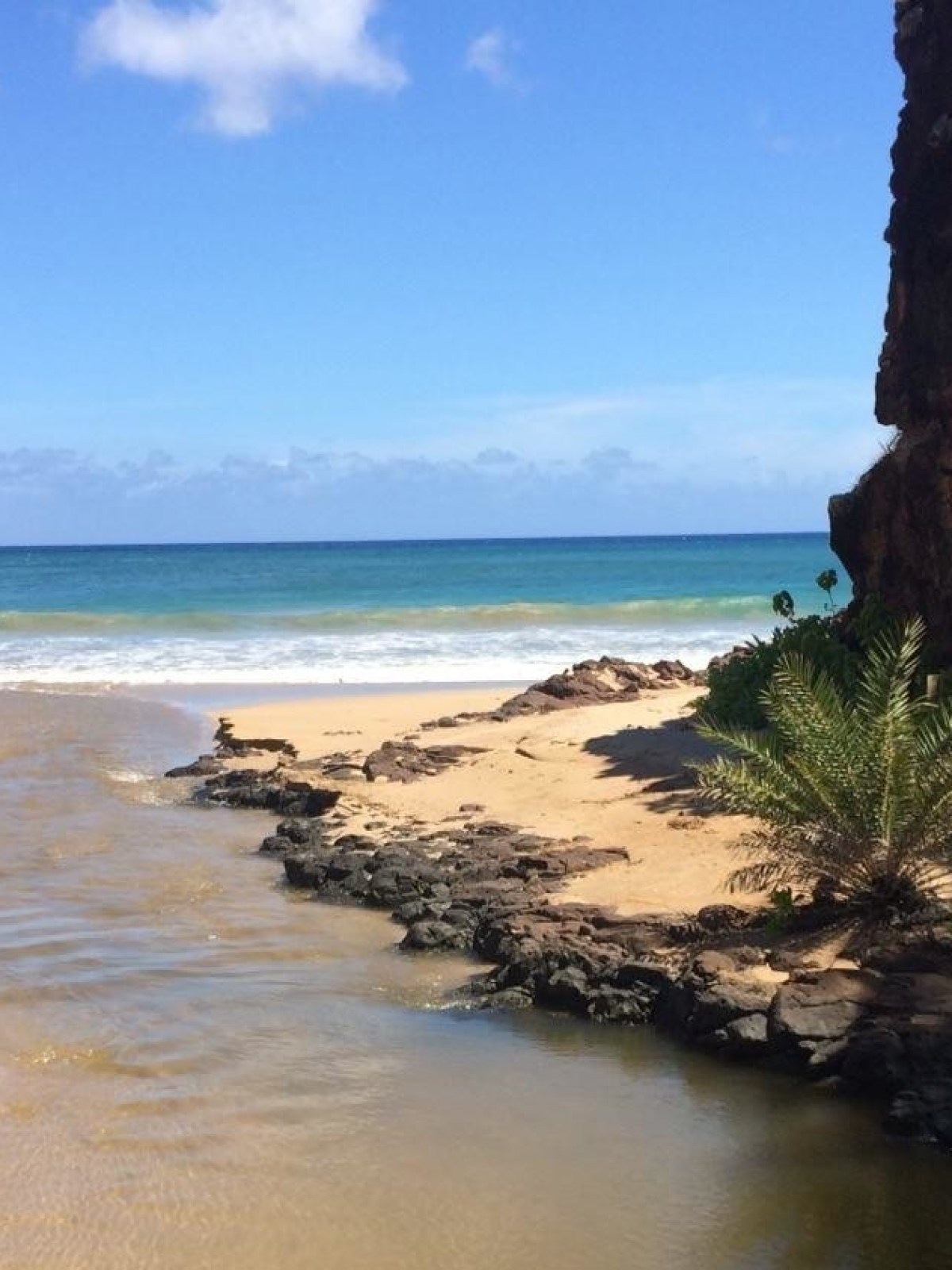 Sandy beach with a rocky cliff, small stream, and palm-like plants under a clear blue sky.