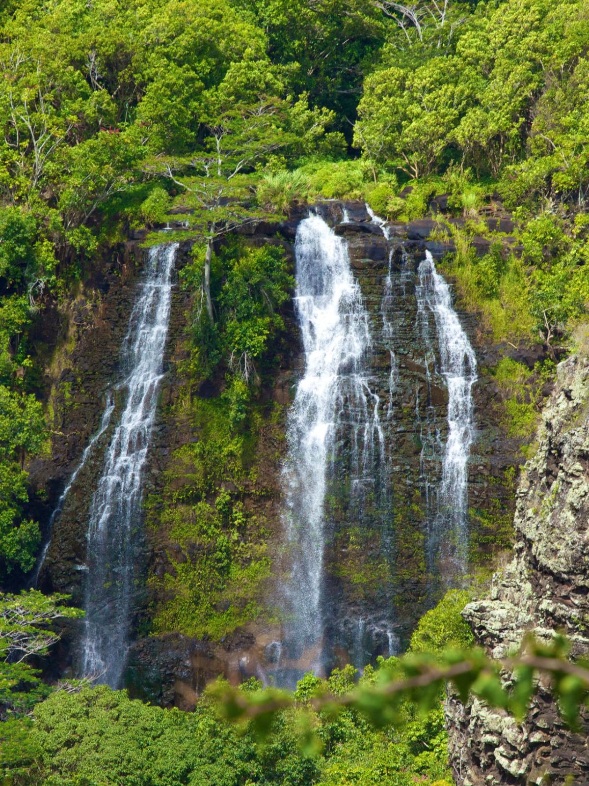 Tall waterfall cascading down a green cliff surrounded by lush vegetation.