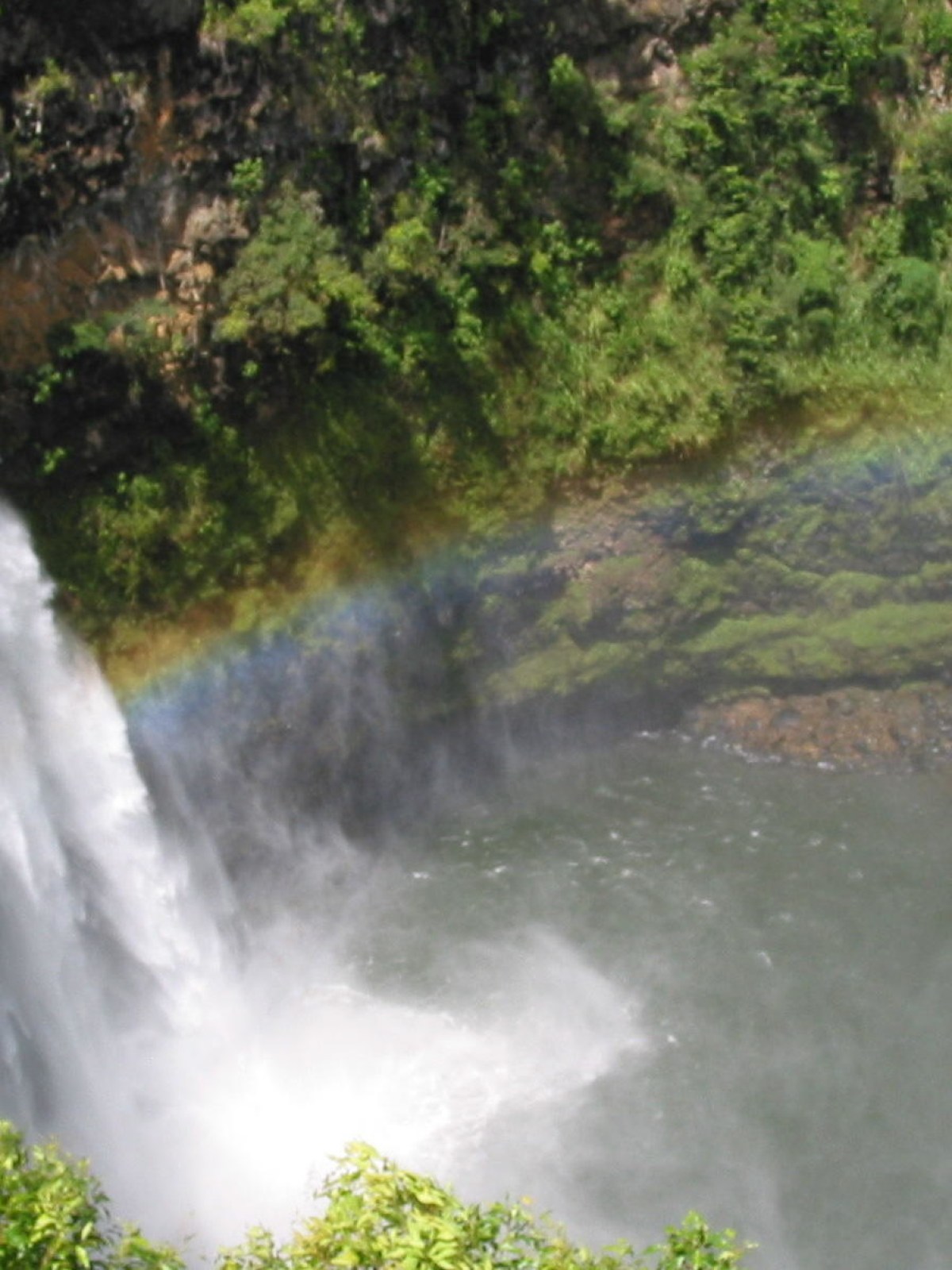 Waterfall cascading into a pool surrounded by green foliage with a faint rainbow.