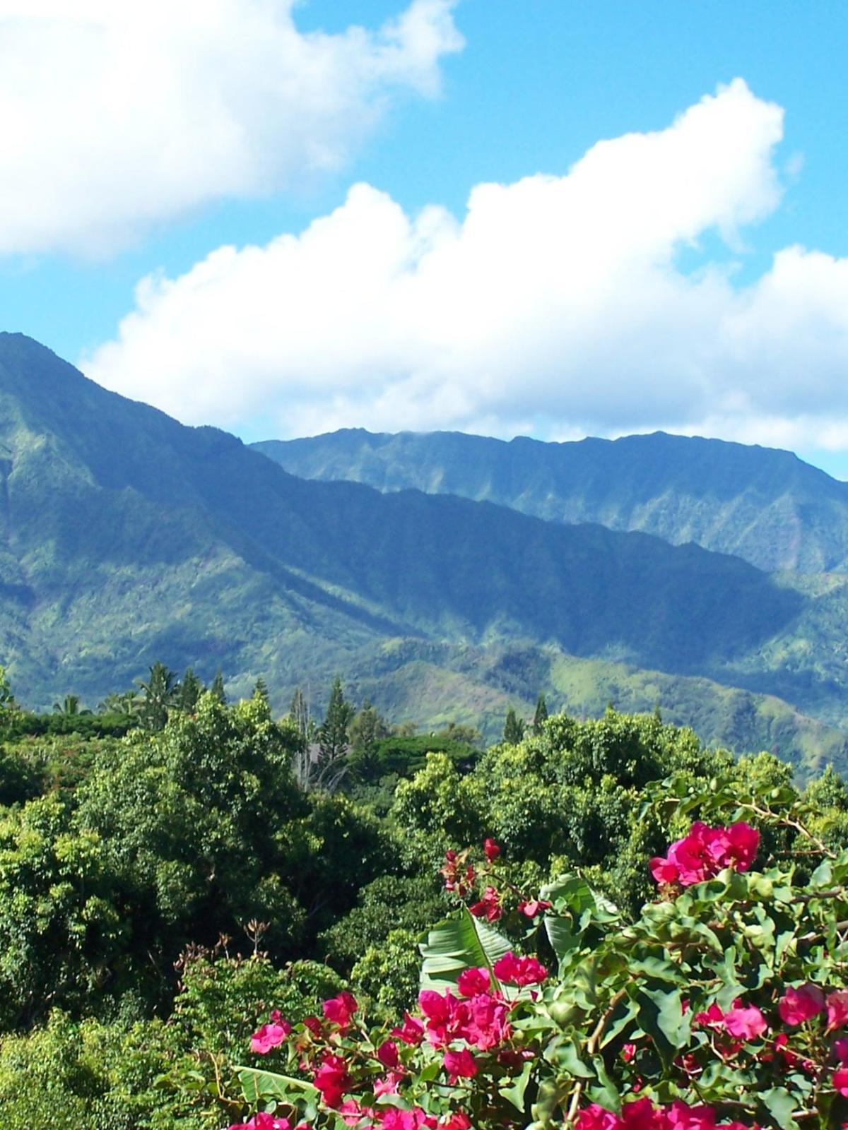 Lush green mountains under a blue sky with vibrant pink flowers in the foreground.