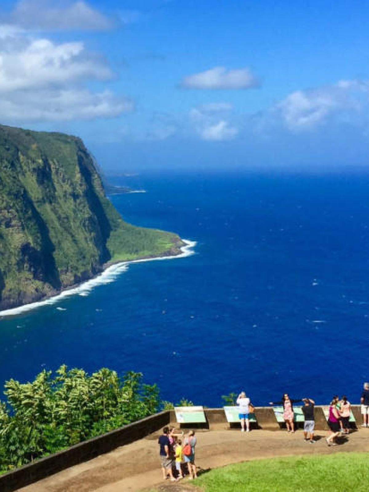 People enjoying a scenic coastal view with cliffs and ocean under a blue sky.