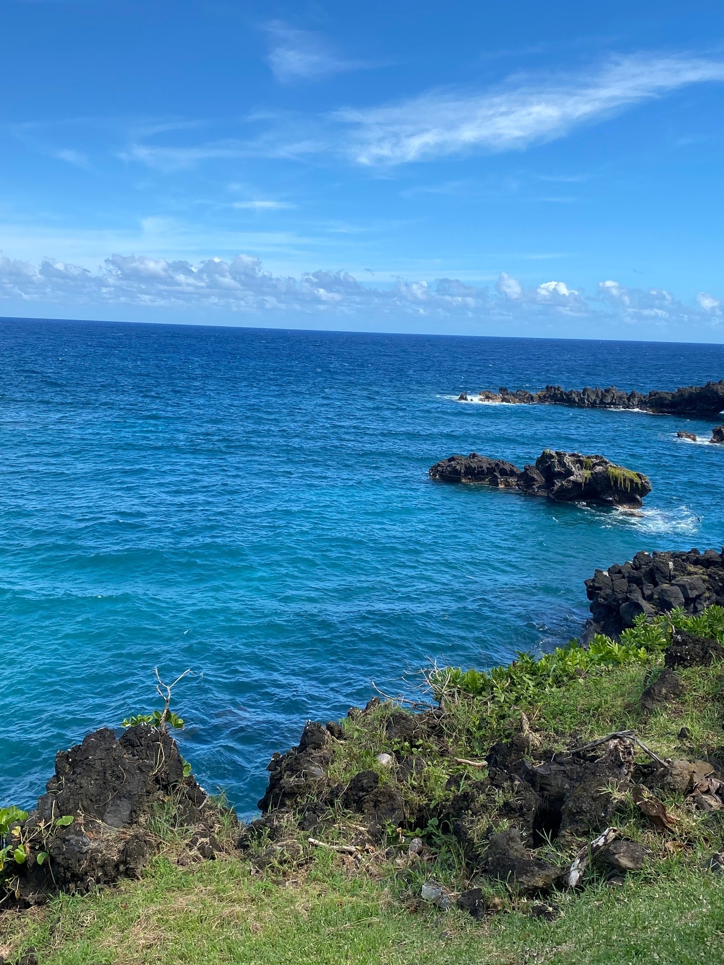 Rocky coastline with bright blue ocean and green vegetation under a clear sky.
