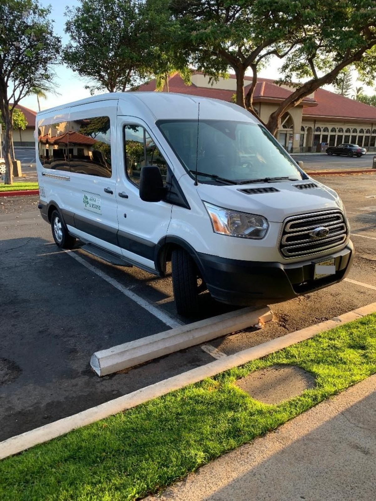 White van parked over a curb in a parking lot with trees nearby.